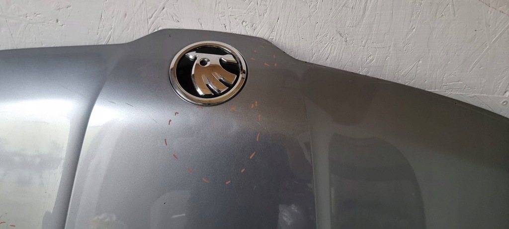 фото №8, Капот skoda kodiaq '17-.