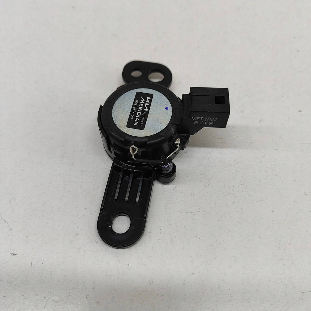 фото №5, Kia ev6 2023 левая сторона динамик дверь задних