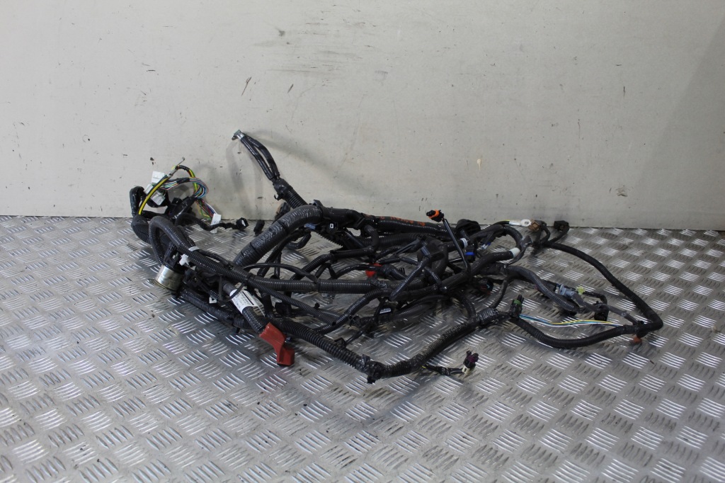 фото №1, Жгут электрическая двигателя alaskan