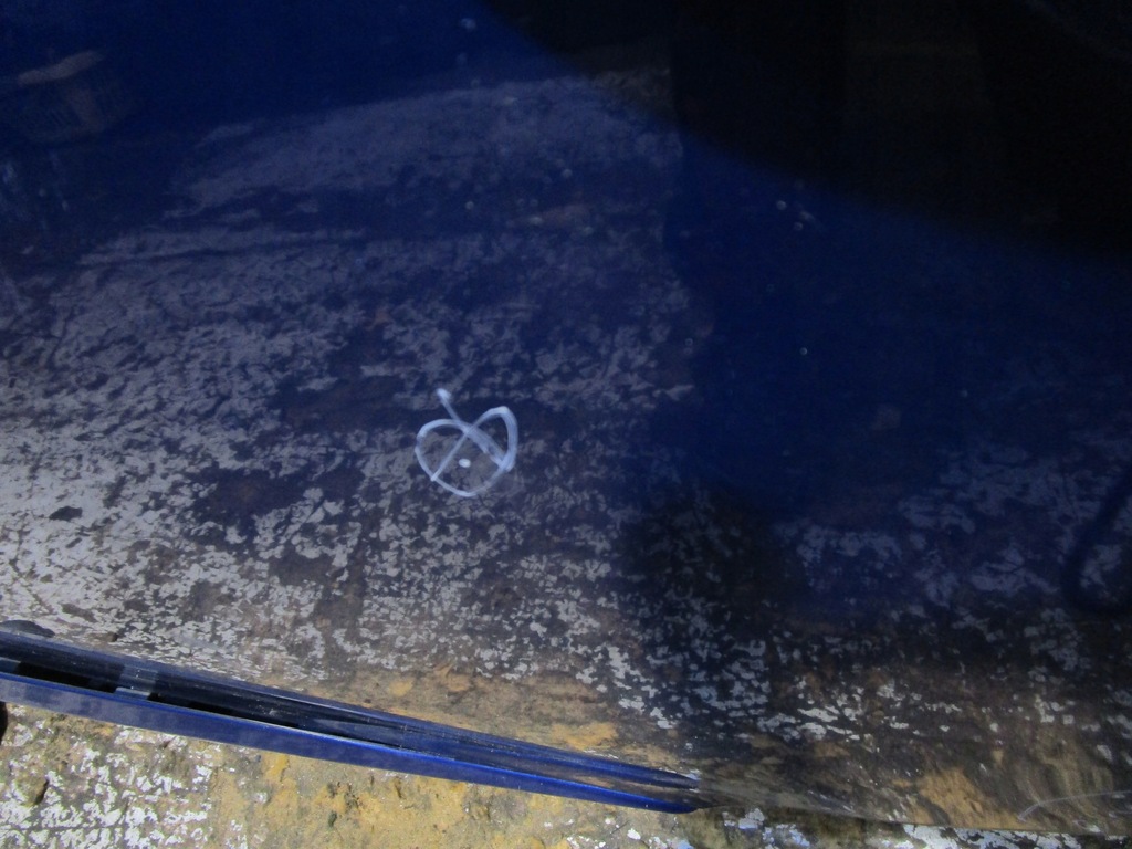 фото №7, Дверь задние левая renault scenic iii