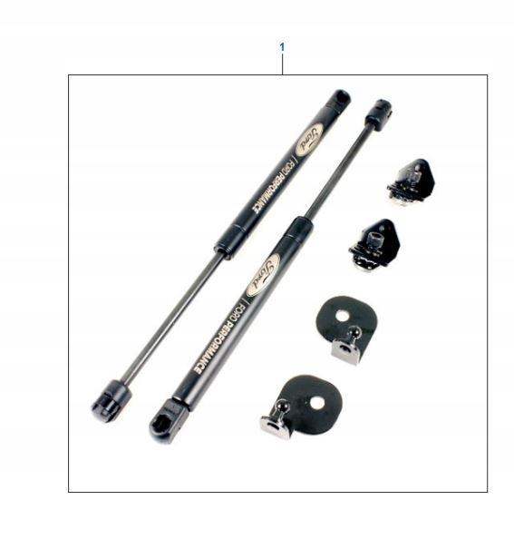 фото №1, Амортизатори підйому капот ford mustang mk6 2015-