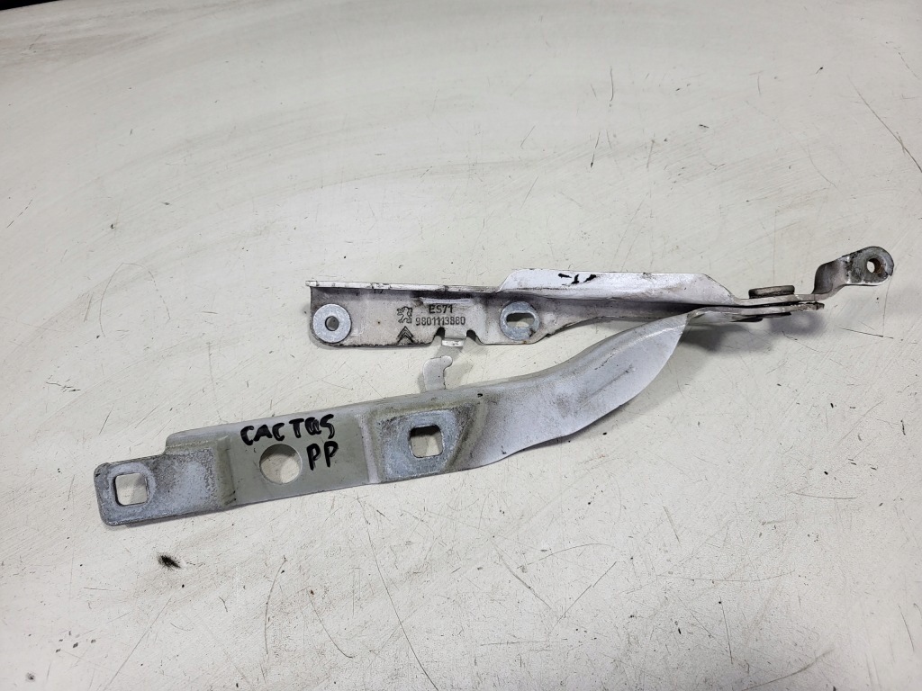 фото №1, Петля капот правый citroen c4 cactus 9801113880