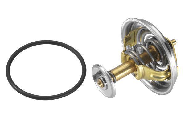 Купить Термостат - wahler 4137.80d