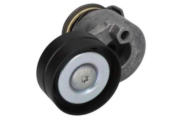 фото №1, Натяжитель ремень renault clio iii duster grand scenic ii grand scenic iii