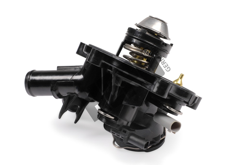 фото №2, Термостат з корпус