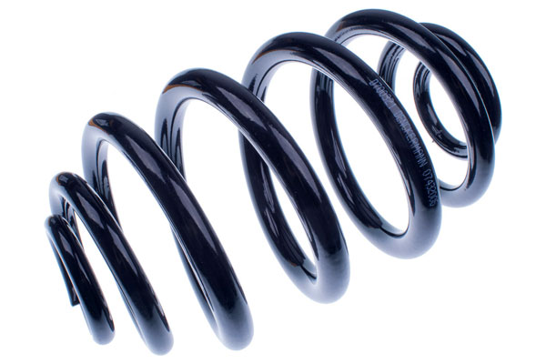 фото №1, Denckermann пружина підвіска задня st