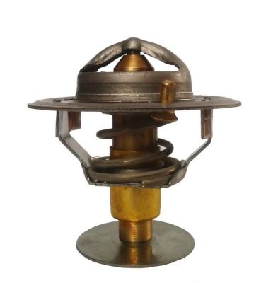 фото №1, Термостат perkins bizon