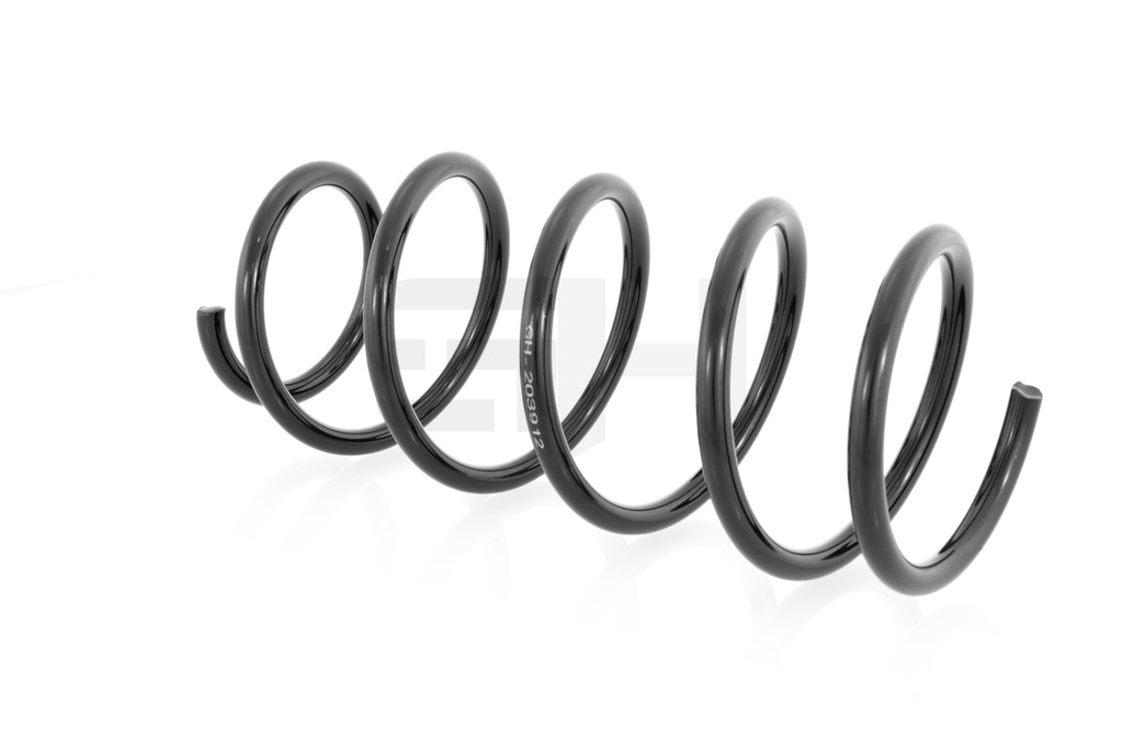 фото №14, Пружина перед renault kangoo