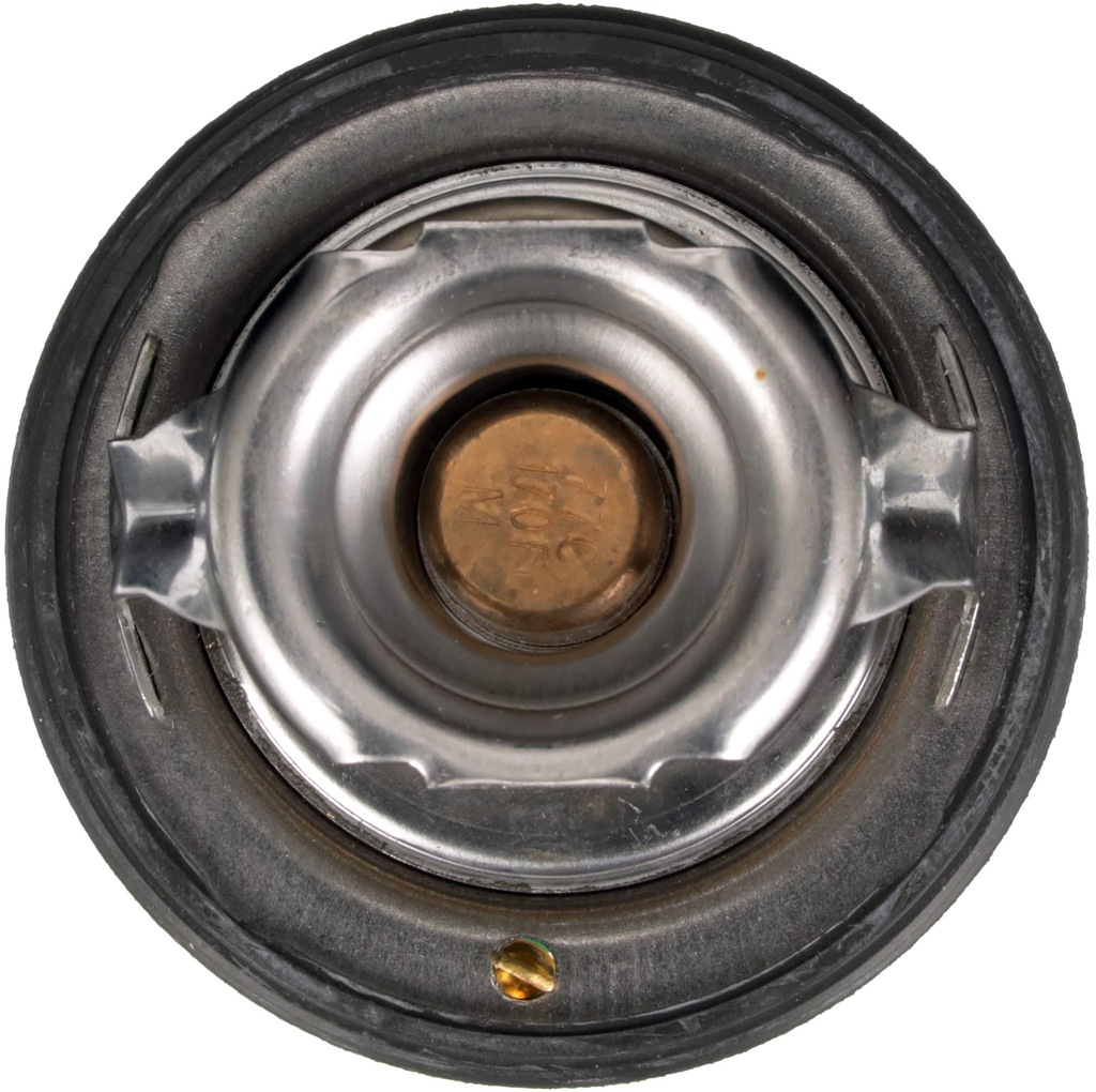 фото №2, Термостат