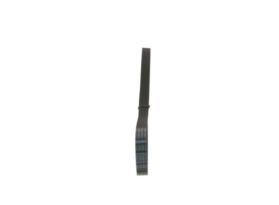 Ремень многоручейковый. 6pk884 Цена