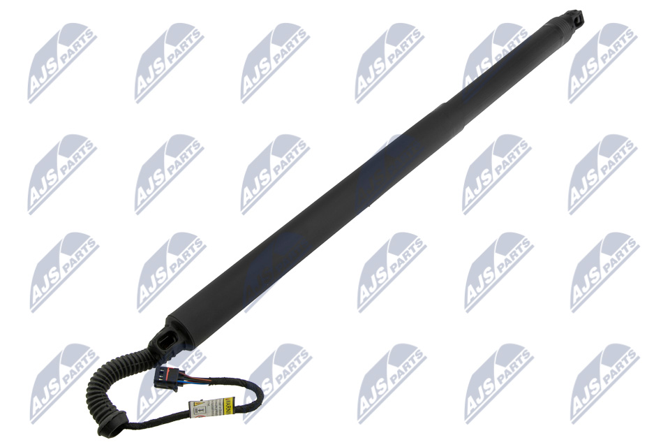 фото №1, Амортизатор задній кришки nty ae-ns-028