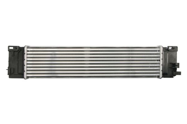 Купити Радіатор повітря впускний thermotec dav010tt