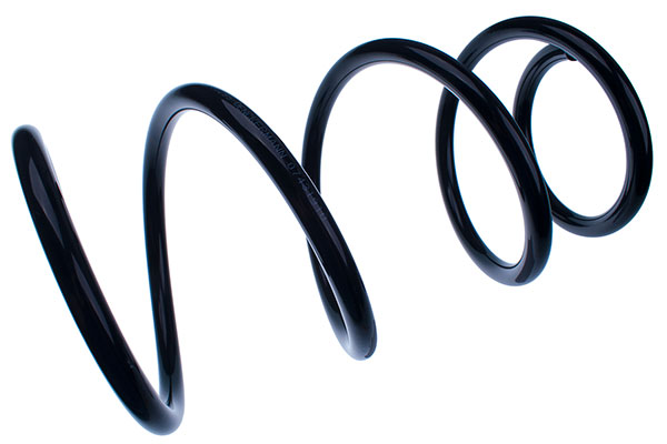 фото №1, Denckermann пружина підвіска перед st