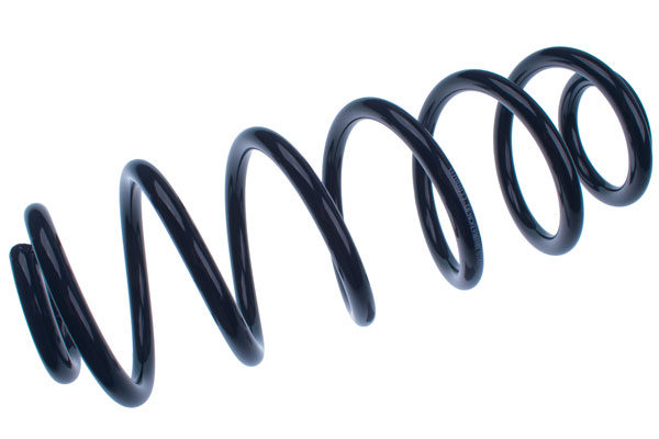 Купити Denckermann пружина підвіска задні