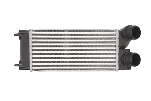 Купить Радиатор воздуха впускной thermotec dap002tt