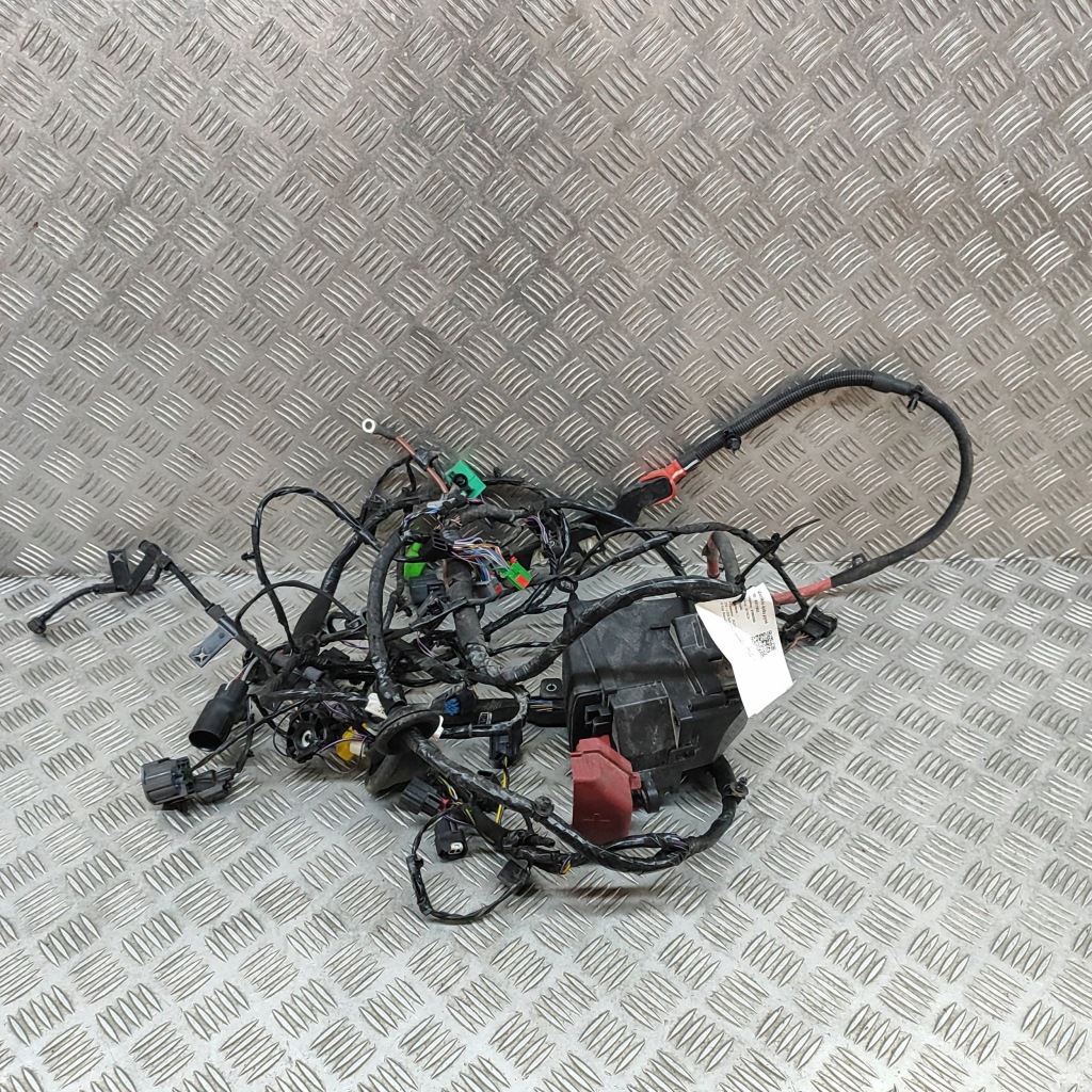 Jaguar F-Type 2020 Звязка проводів двигуна