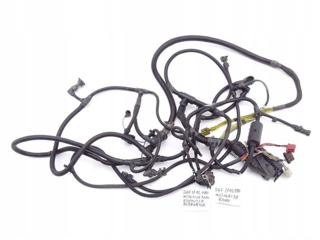DAF LF 45 55 01-06 E3 джгут для компютера